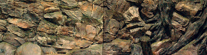 3D pozadie Koreň 200x50