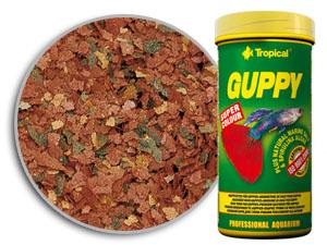 Tropical Guppy 100ml / 20g