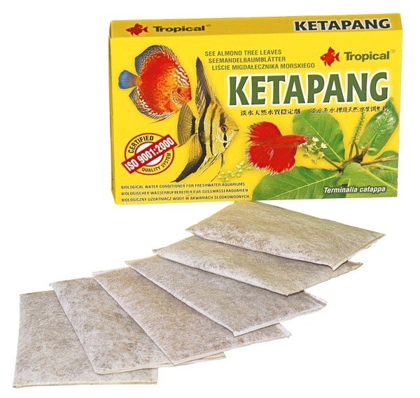 TROPICAL-Ketapang 6sáčkov/5g