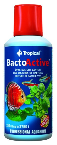 TROPICAL-Bacto-Active 250ml/3750L