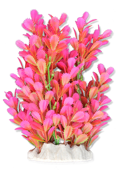 HAPPET Aquatic Plant 20cm