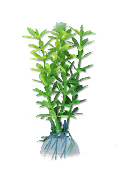 HAPPET Aquatic Plant - blister 10cm
